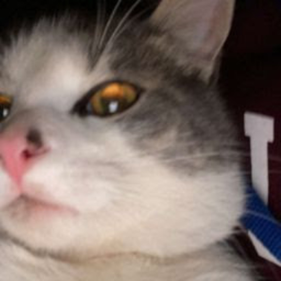 Meet your Posher, Jocelyn - Picture 1 of 1